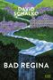 David Schalko: Bad Regina, Buch