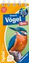 Ein Eisvogel sitzt auf einem Zweig. Text: "Unsere Vögel Quiz", "4-7 Jahre", "Wieso Weshalb Warum".