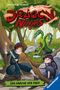 Michael Petrowitz: Dragon Ninjas, Band 4 - Der Drache der Erde, Buch