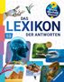 Andrea Schwendemann: Das Lexikon der Antworten, Buch