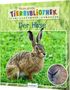 Jens Poschadel: Meine große Tierbibliothek: Der Hase, Buch