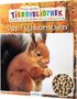 Stéphanie Ledu-Frattini: Meine große Tierbibliothek: Das Eichhörnchen, Buch