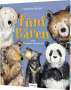 Catherine Rayner: Fünf Bären, Buch