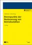 Nina Schütte-Reineke: Brennpunkte der Besteuerung von Betriebsstätten, Buch,Div.