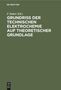 : Grundriss der Technischen Elektrochemie auf theoretischer Grundlage, Buch