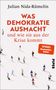 Julian Nida-Rümelin: Was Demokratie ausmacht - und wie sie aus der Krise kommt, Buch