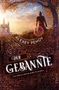 Alexey Pehov: Der Gebannte, Buch