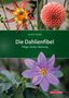 Cornelia Gutjahr: Die Dahlienfibel, Buch