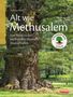 Alt wie Methusalem - Eine Reise zu den Jahrhundert-Bäumen Deutschlands, Buch, Buch