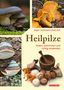 "Heilpilze: finden, bestimmen und richtig verwenden" von Jürgen Guthmann und Ruth Zick. Verschiedene Pilzarten., Buch