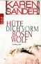 Karen Sander: Hüte dich vorm bösen Wolf, Buch