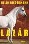 Text: "Nelio Biedermann", "Lázár", "Roman", "rororo". Ein weißes Pferd steht vor einem dekorativen, rot gemusterten Hintergrund., Buch