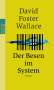 David Foster Wallace: Der Besen im System, Buch