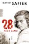 David Safier: 28 Tage lang, Buch