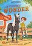 Britta Sabbag: Ein Pferd namens Wonder (Band 1), Buch