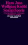 Hans Joas: Sozialtheorie, Buch