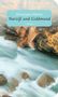 Hermann Hesse: Narziß und Goldmund, Buch