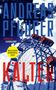 "Andreas Pflüger, Thriller, Suhrkamp, Deutscher Krimipreis 2025, Kälter" mit Riesenrad vor wolkigem Himmel., Buch