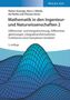Rainer Ansorge: Mathematik in den Ingenieur- und Naturwissenschaften 2, Buch