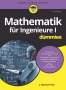 J. Michael Fried: Mathematik für Ingenieure I für Dummies, Buch