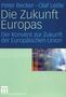 Olaf Leiße: Die Zukunft Europas, Buch