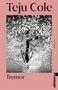 Teju Cole: Tremor, Buch