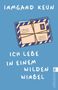 "IRMGARD KEUN, ICH LEBE IN EINEM WILDEN WIRBEL" in weißer Schrift auf blauem Hintergrund, zeigt stilisierte Briefe., Buch
