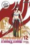 Hiro Mashima: Fairy Tail Massiv 12, Buch