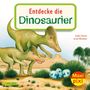 Cordula Thörner: Maxi Pixi 343: VE 5: Entdecke die Dinosaurier (5 Exemplare), Buch