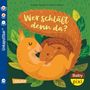 Rüdiger Paulsen: Baby Pixi (unkaputtbar) 172: Wer schläft denn da?, Buch