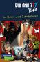 Ulf Blanck: Die drei ??? Kids 24: Im Bann des Zauberers (drei Fragezeichen), Buch
