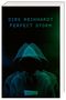 Dirk Reinhardt: Perfect Storm, Buch