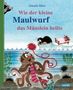 Zden¿k Miler: Wie der kleine Maulwurf das Mäuslein heilte, Buch