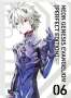 Yoshiyuki Sadamoto: Neon Genesis Evangelion - Perfect Edition 6, Buch