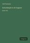 Adolf Dammann: Kulturkämpfe in Alt-England, Buch