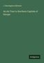 J. Beavington Atkinson, Buch "An Art Tour to Northern Capitals of Europe", grüner Hintergrund, unten Logo "Antigonos"., Buch