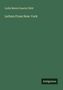 Lydia Maria Francis Child: Letters From New-York, Buch