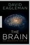 David Eagleman: The Brain, Buch, Buch