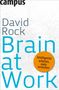 David Rock: Brain at Work, Buch