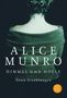 Alice Munro: Himmel und Hölle, Buch, Buch