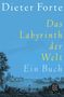 Dieter Forte: Das Labyrinth der Welt, Buch
