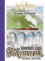 „20 Ausmal-Postkarten. Greetings from Hogwarts, Hogsmeade, and beyond!“ Illustration eines Zugs auf einem Viadukt.