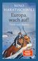 Nino Haratischwili: Europa, wach auf!, Buch