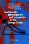Ulrich Steger: Sustainable Development and Innovation in the Energy Sector, Buch