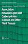 Takashi Watanabe: Association Between Lignin and Carbohydrates in Wood and Other Plant Tissues, Buch