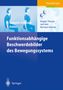 Frauke Dehler: Funktionsabhängige Beschwerdebilder des Bewegungssystems, Buch