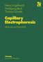 Heinz Engelhardt: Capillary Electrophoresis, Buch
