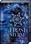 Anna Fleck: Froststerne (Romantasy-Trilogie, Bd. 2), Buch