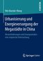 Wei Manske-Wang: Urbanisierung und Energieversorgung der Megastädte in China, Buch