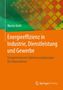 Martin Dehli: Energieeffizienz in Industrie, Dienstleistung und Gewerbe, Buch